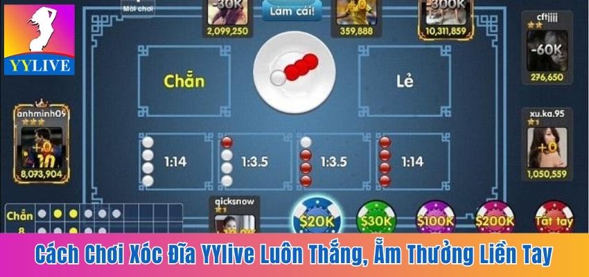 Cách Chơi Xóc Đĩa YYlive Luôn Thắng, Ẵm Thưởng Liền Tay 1 cách chơi xóc đĩa YYlive