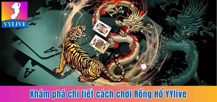 Khám phá chi tiết cách chơi Rồng Hổ YYlive