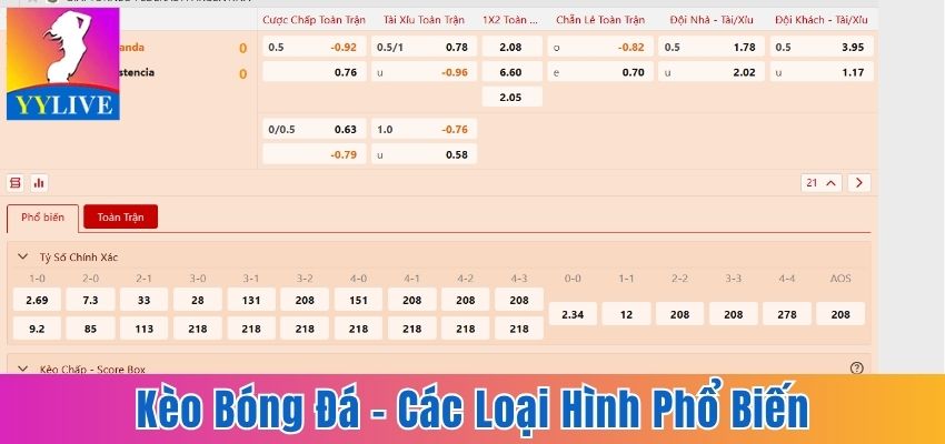 Giải Đáp Kèo Bóng Đá Là Gì Và Các Loại Hình Cược Phổ Biến 2 kèo bóng đá
